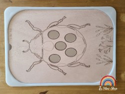La coccinelle réaliste...