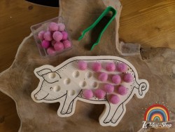 Le cochon à encoches