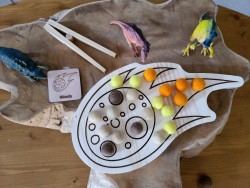 Météorite à encoches