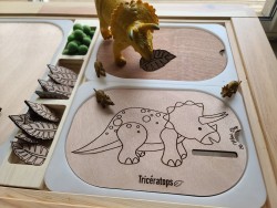 Insert pour table flisat...