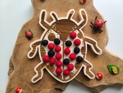 Coccinelle à encoches