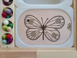 Le papillon : Insert pour...