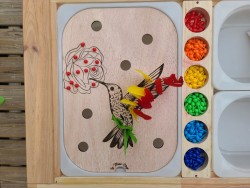 Le colibri :Insert pour...