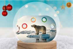 L'ours polaire : Insert...