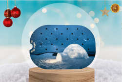 L'igloo  : Insert pour...