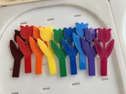 LOT de 9  tulipes à...