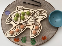 Tortue de mer  à encoches