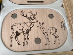 Le cerf et la biche: Insert...