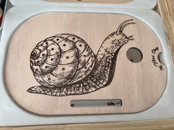 L'escargot : Insert pour...