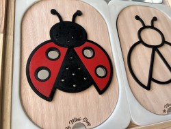 La coccinelle en couleur  :...