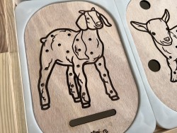 La chèvre: Insert pour...