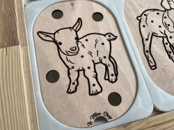 L'agneau : Insert pour...