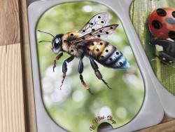 L'abeille qui vole : Insert...