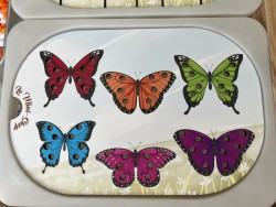 Les couleurs des papillons...