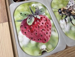 La fraise : Insert pour...