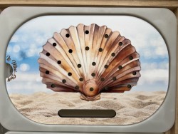 Le coquillage: Insert pour...