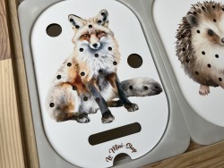 Le renard : Insert pour...