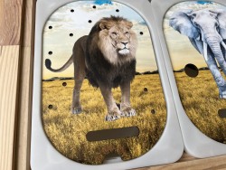Le lion dans la savane:...