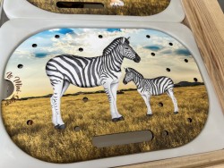 Les zèbres dans la savane:...