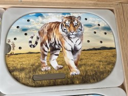 Le tigre dans la savane:...