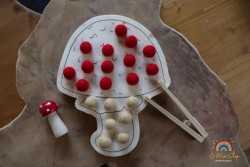 Champignon à encoches