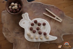 Escargot à encoches
