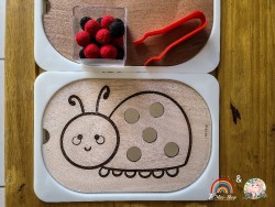 La coccinelle by leati...